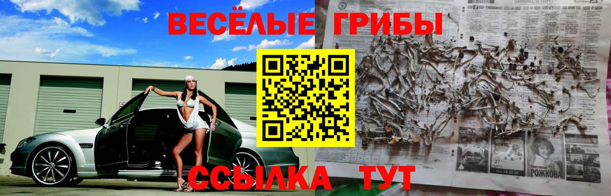 Псилоцибиновые грибы мухоморы  Вход с VPN  Галлюциногенные грибы прущие грибы  Бердск 