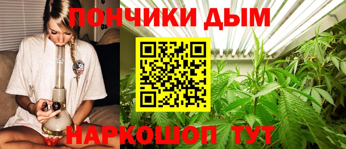Каннабис ГИДРОПОН  Вход с VPN  Бошки марихуана MAZAR  Бердск  Канабис конопля 